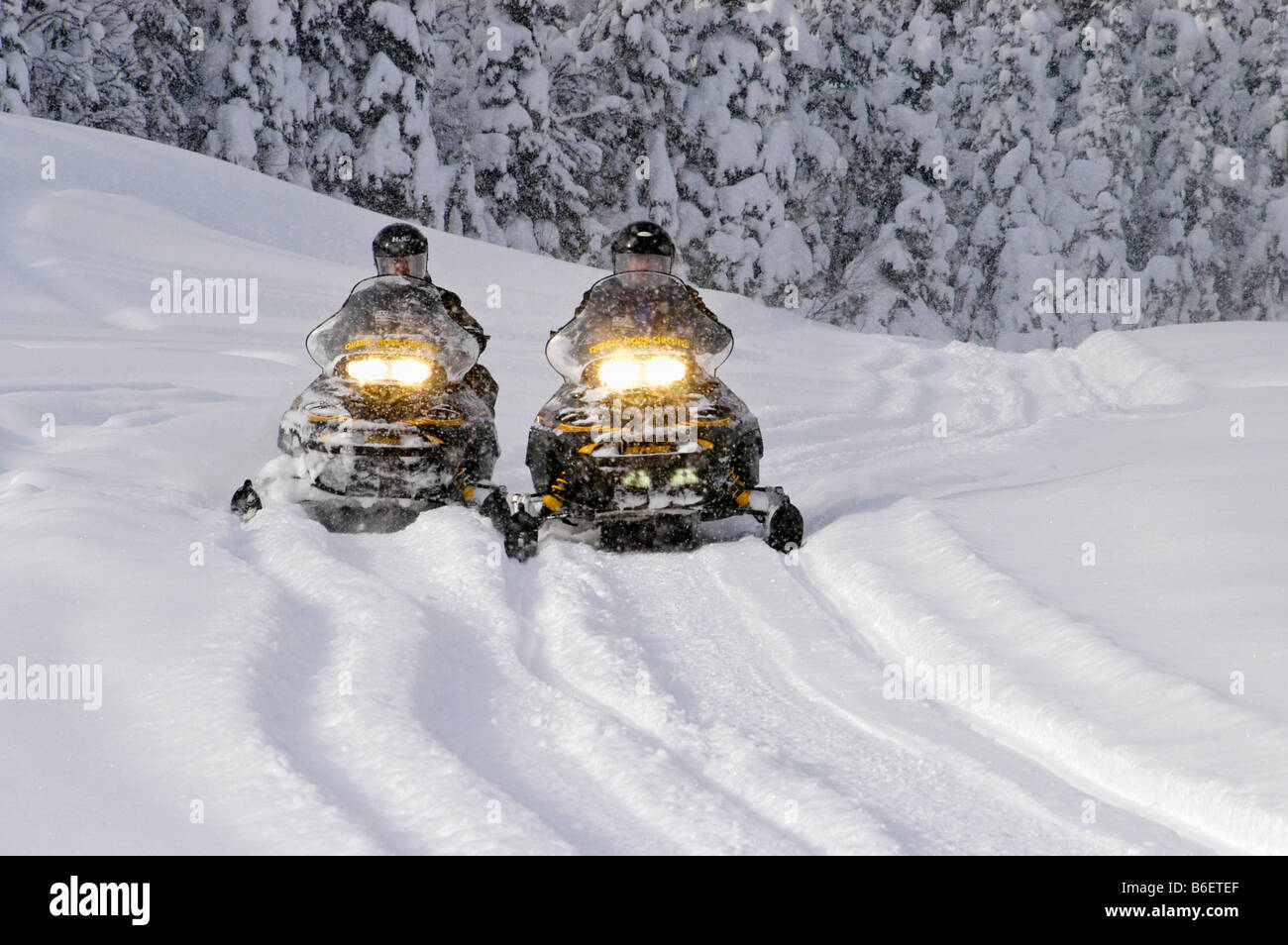Snow mobile, snow mobiles in the snow, Saguenay Lac Saint Jean Region, Mont Valin, Quebec, Canada, North America Stock Photo