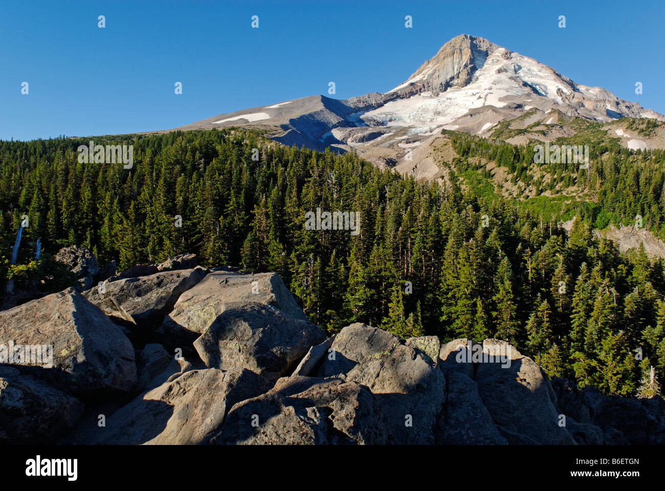 Eastern edge of Mount Hood volcano, Cloud Cap, Cascade Range, Oregon