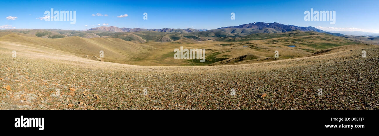 Panorama, Thuja steppe and Saljugem, Saljugem, Saylyugem Mountain, Altai Republic, Siberia, Russia, Asia Stock Photo