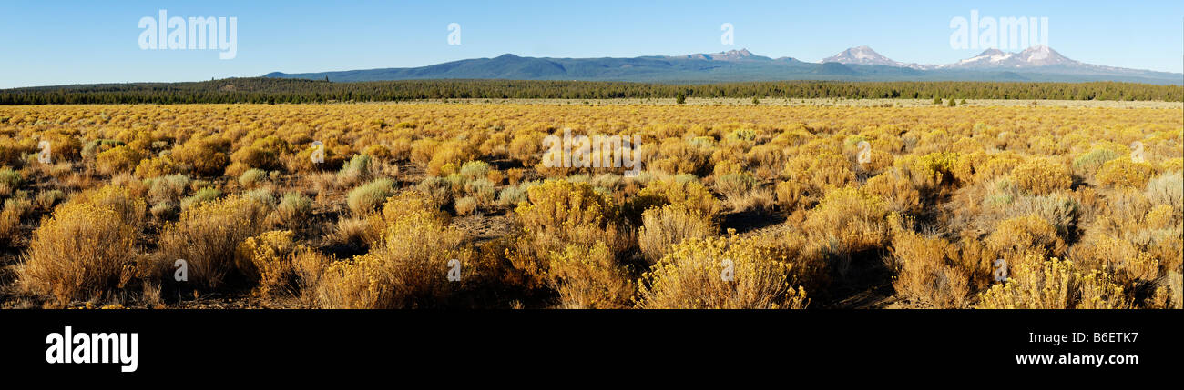 Panorama, High Desert landscape, view of the Three Sisters volcano, Cascade Range, Oregon, USA Stock Photo