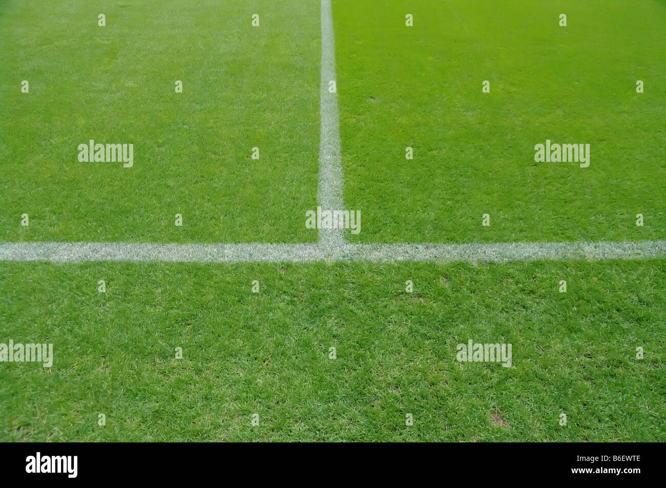 soccer field close ups of markings Stock Photo Alamy