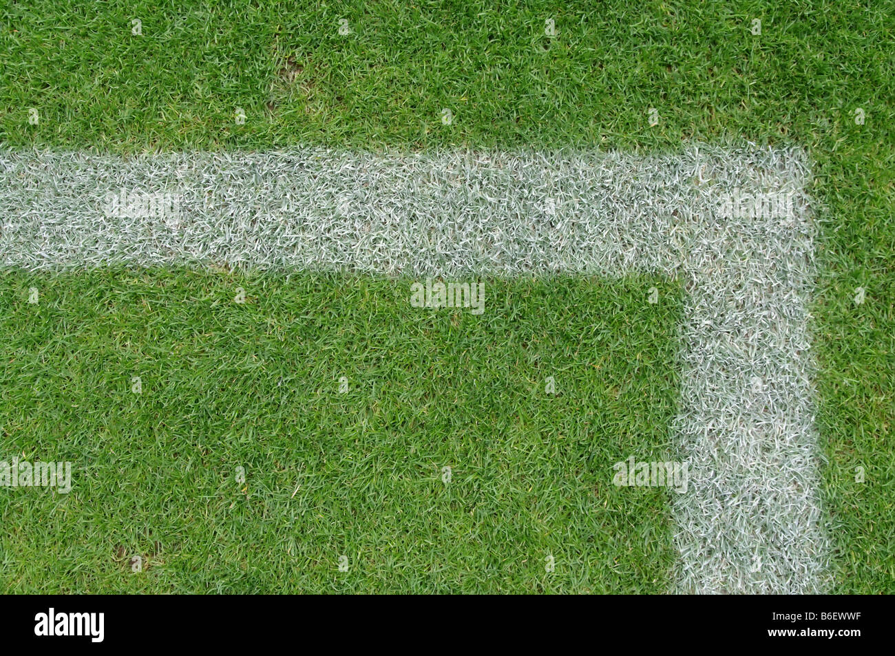 soccer field close ups of markings Stock Photo Alamy