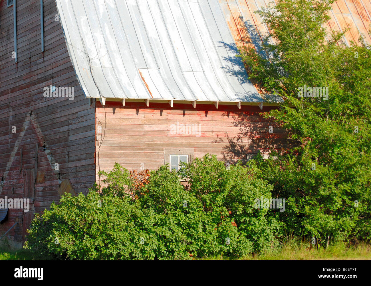Faded red barn with a tin roof Stock Photo