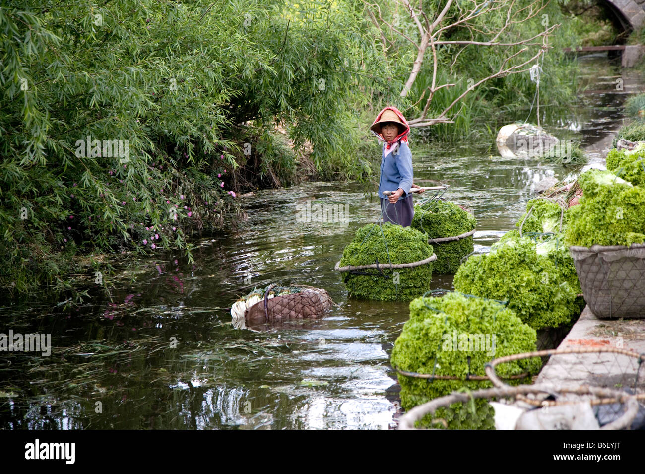Chinese Woman Floating Down Canal with Fresh Produce, Dali, China Stock Photo
