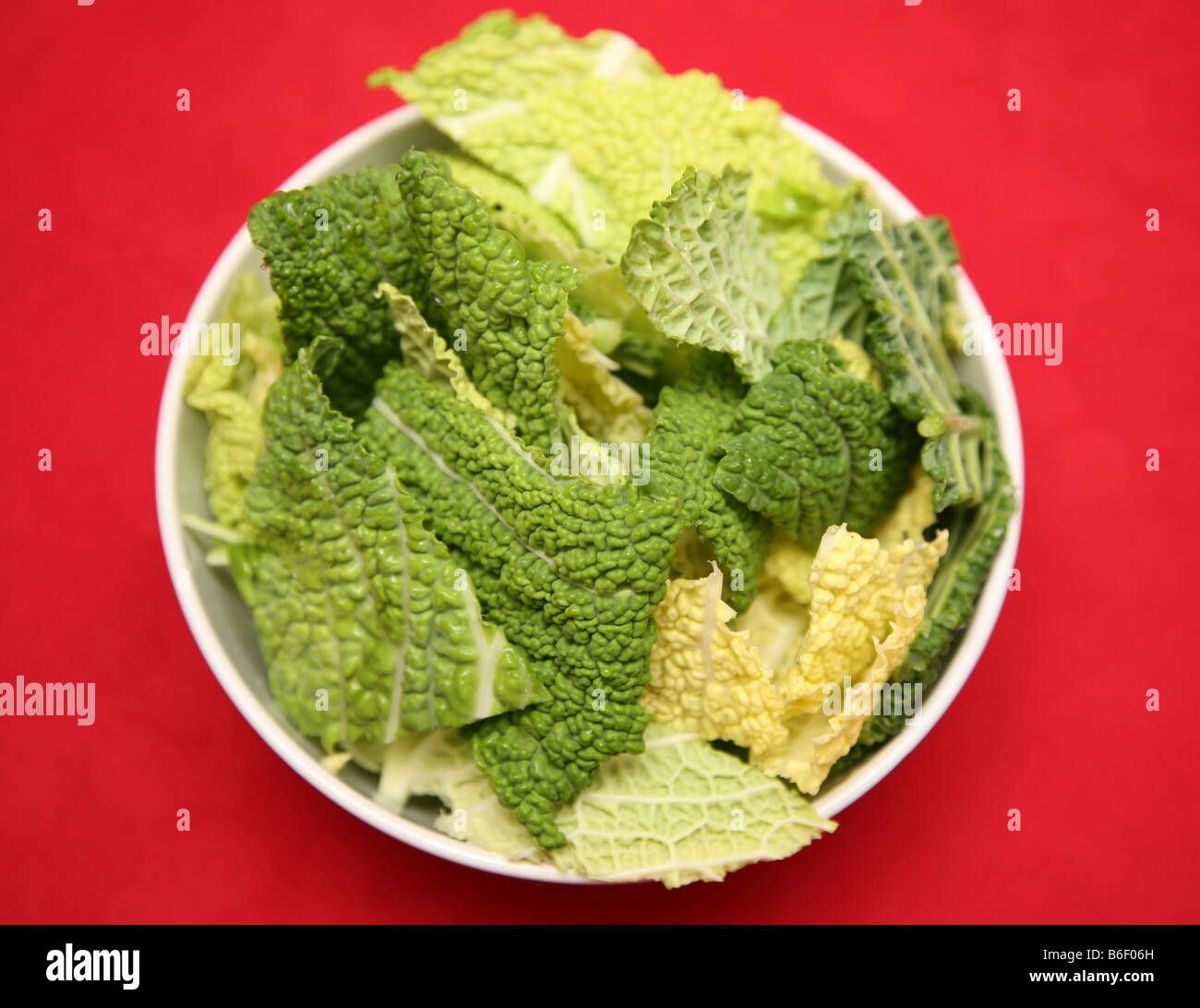 A bowl of cabbage Stock Photo Alamy