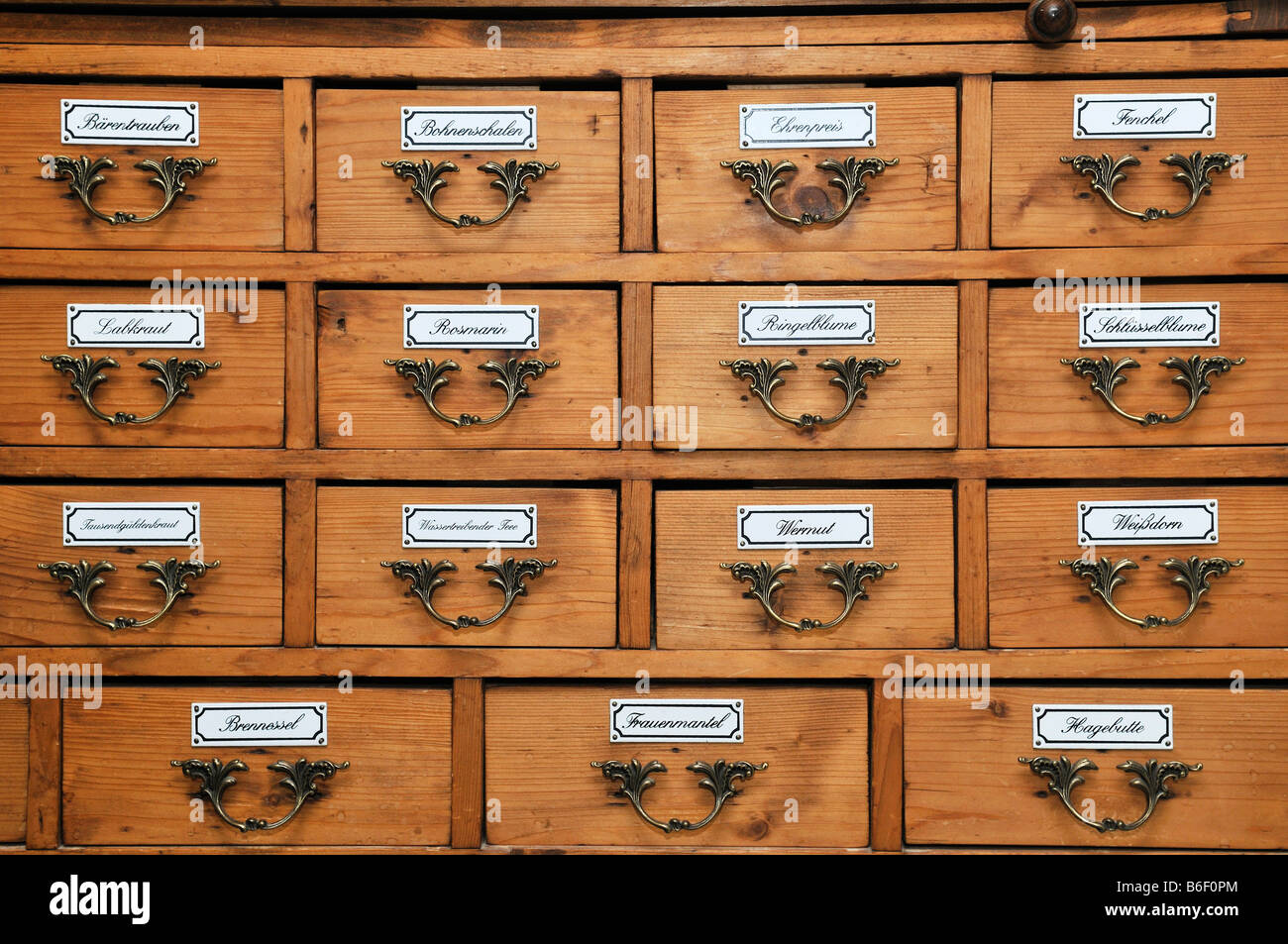 Historic pharmacist's cupboard for medicinal herbs, Germany Stock Photo