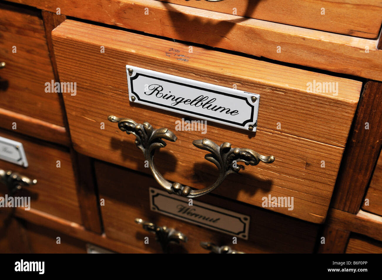Historic pharmacist's cupboard for medicinal herbs, marigold, Germany Stock Photo