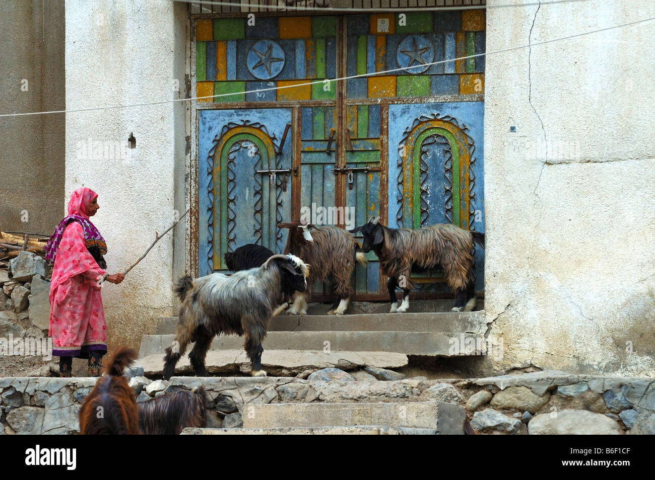 Omani woman with goats in front of the traditional metal doors of an Omani house, Nakhl, Sultanate of Oman, Middle East Stock Photo