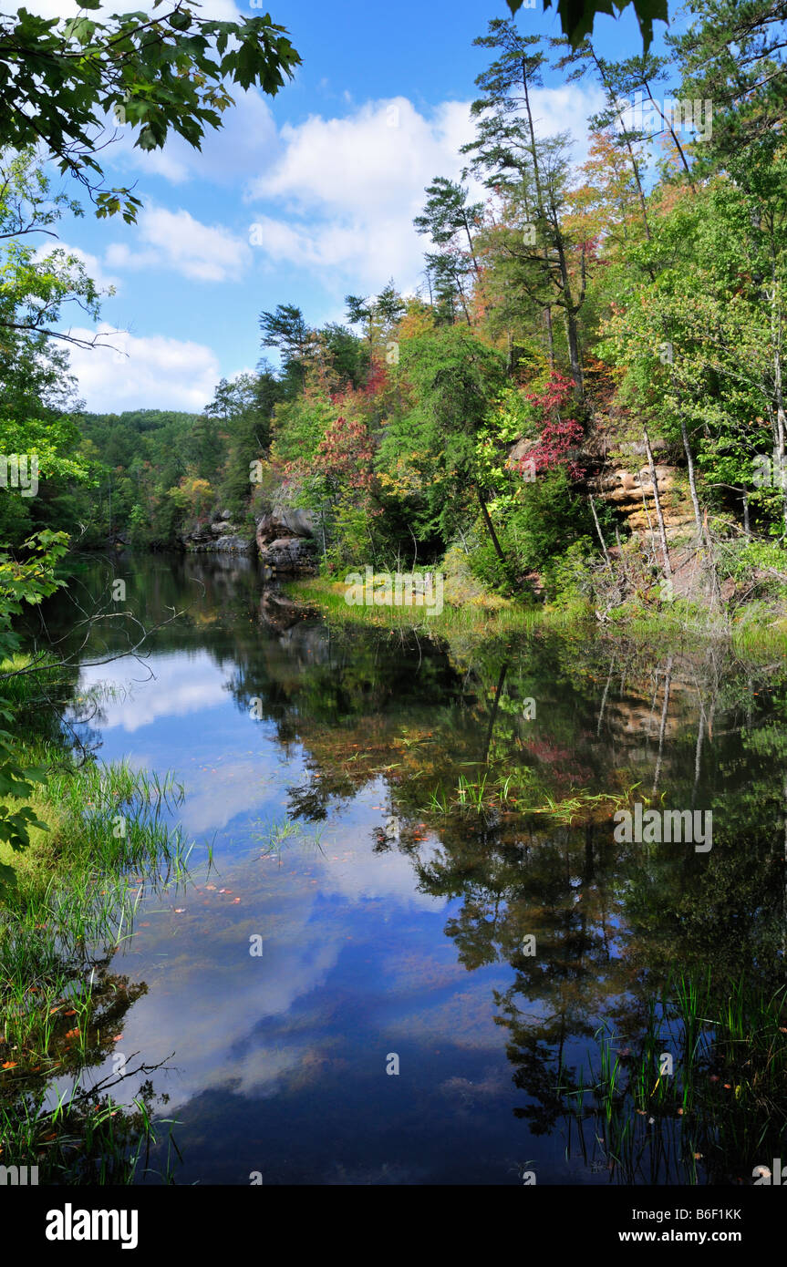 Pickett hires stock photography and images Alamy