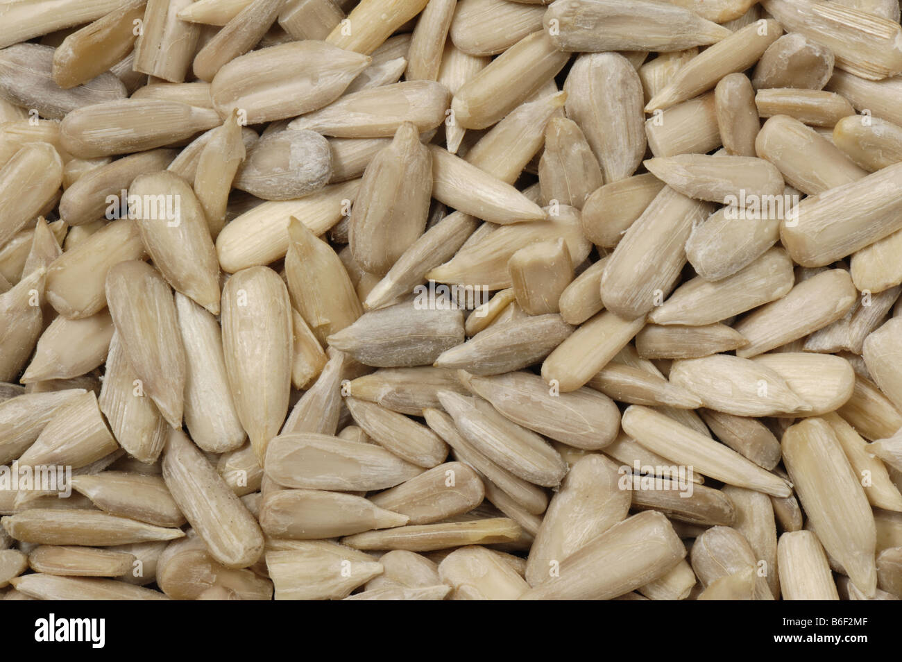 Organic sunflower seeds as sold in health food shops grown in China Stock Photo