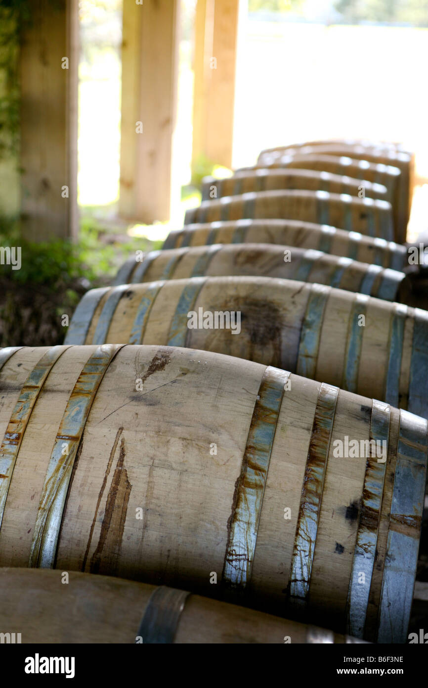 Sharp Tasting High Resolution Stock Photography and Images Alamy