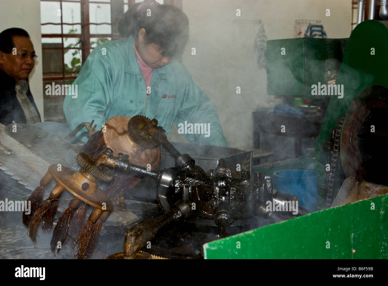 Woman at silk factory using automated brush machine to take starting strands of silk from silkworm cocoons to spin into thread Stock Photo