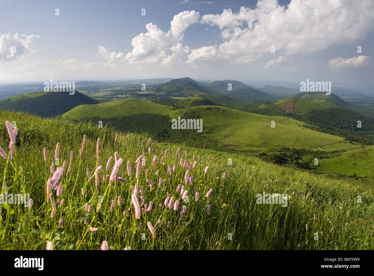 Conservation Des Biotopes Hi-res Stock Photography And Images - Alamy