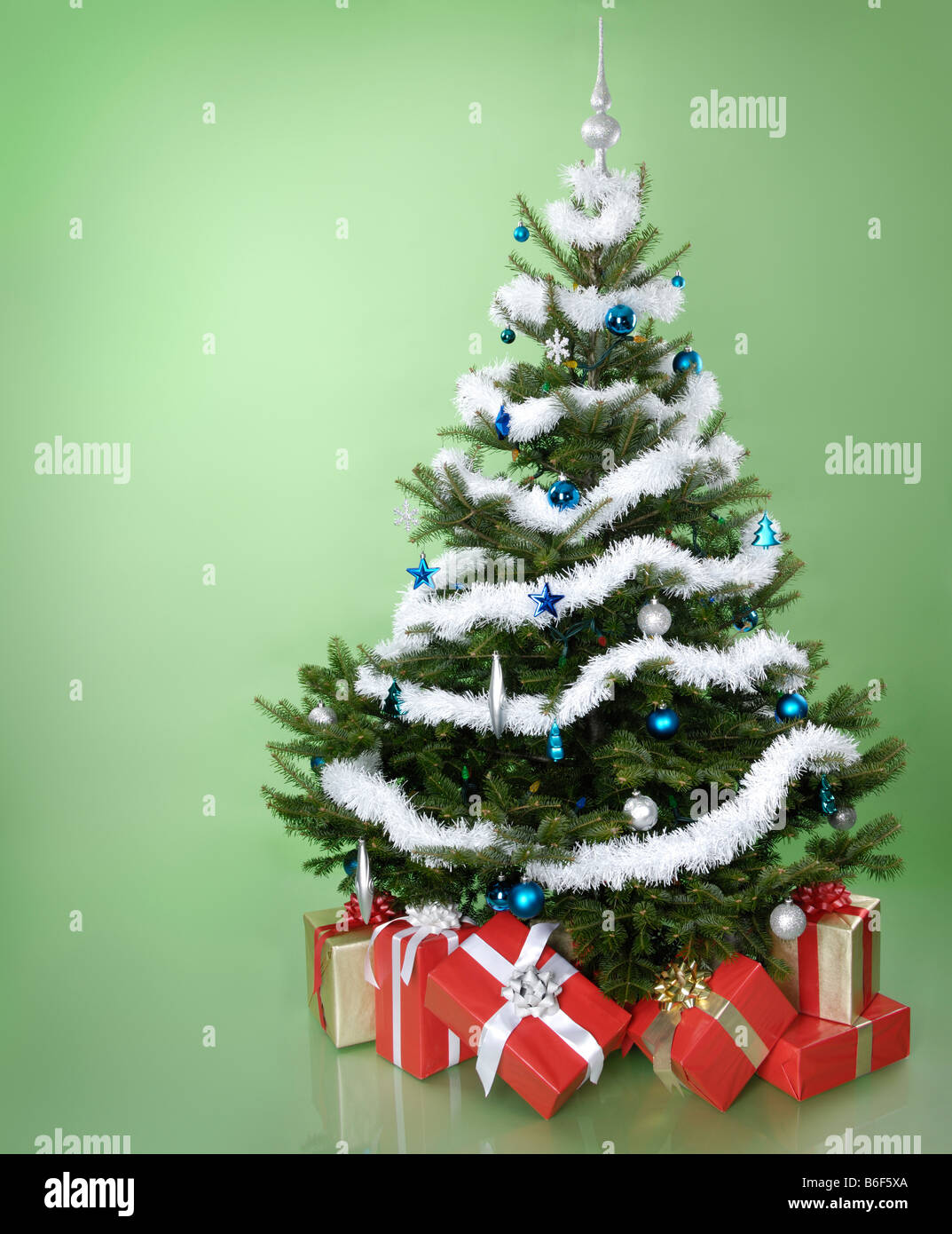 Real christmas tree hires stock photography and images Alamy