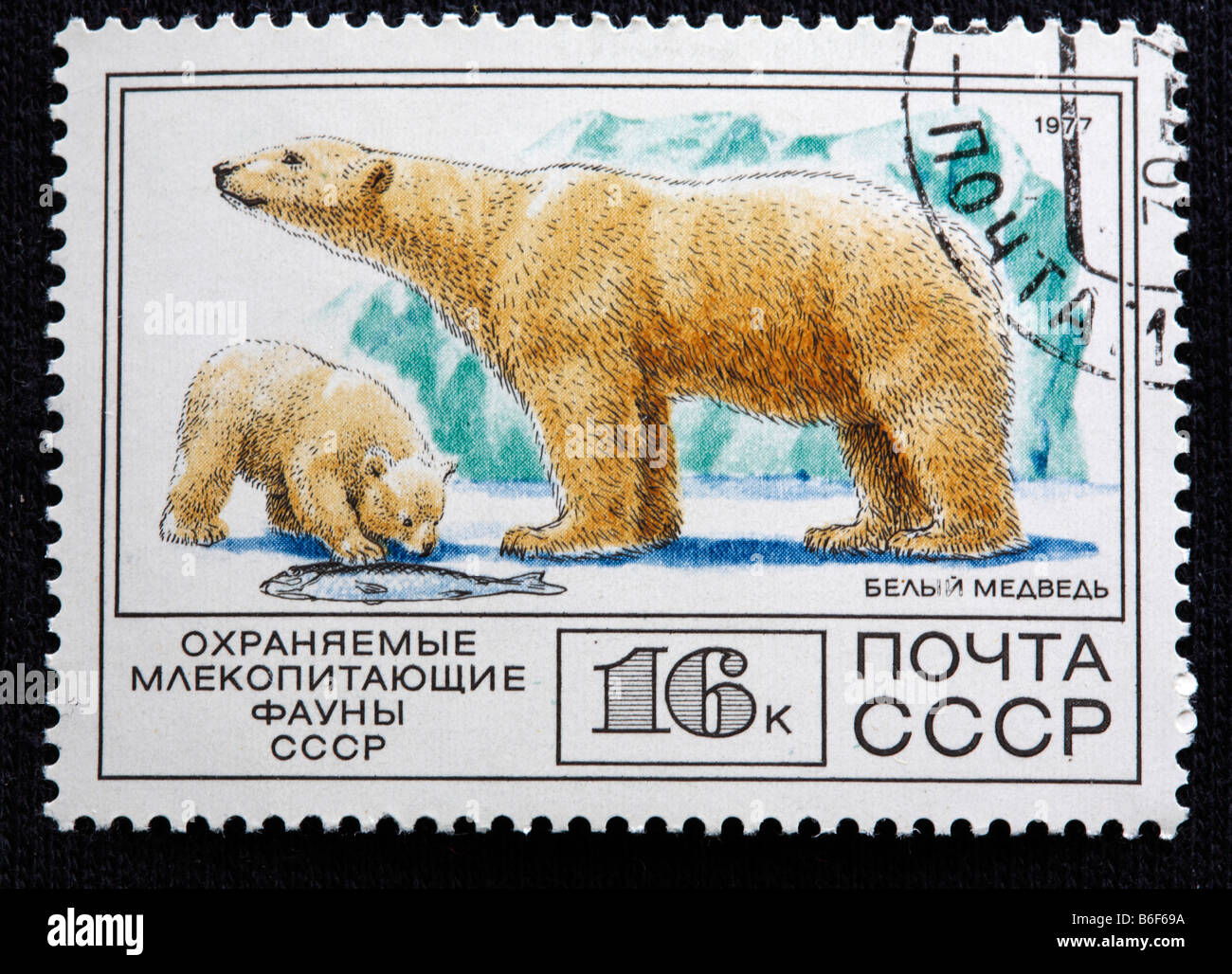 Polar bear ursus maritimus illustration hi-res stock photography