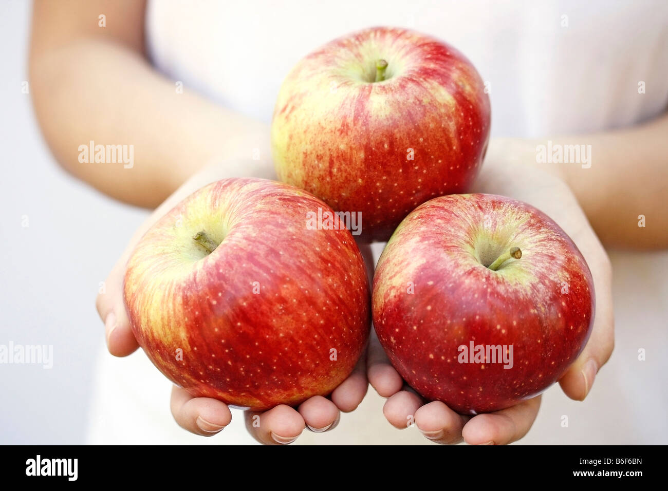 Apples on hands Stock Photo