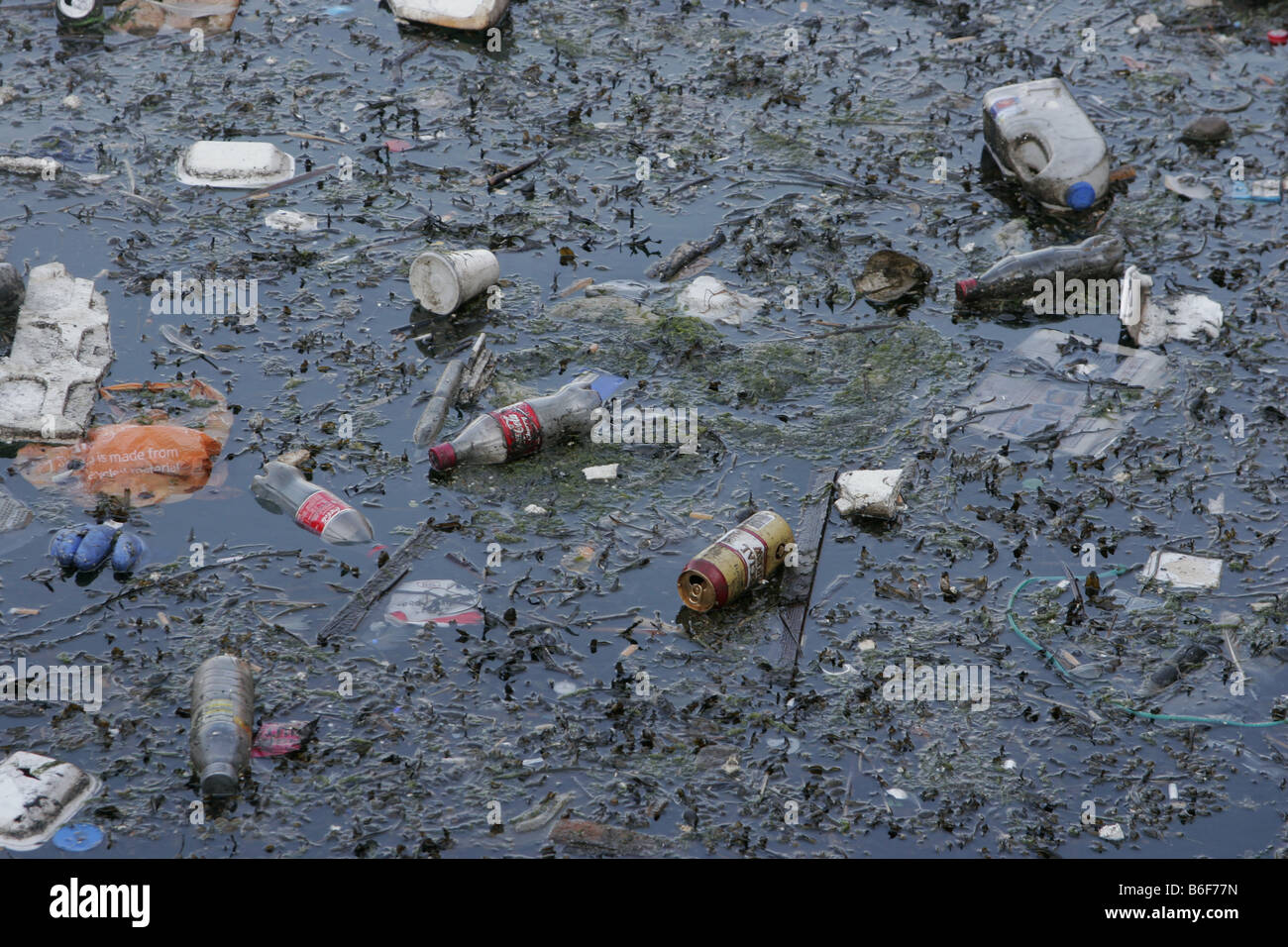 environment waste pollution litter toxic water sea rubbish recycling