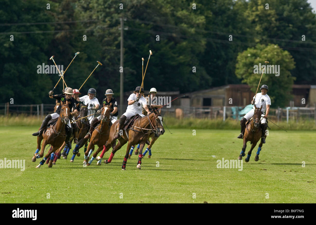 Polo, polo players chasing after a ball, polo competition, Berenberg High Goal Trophy 2008, Thann, Holzkirchen, Upper Bavaria,  Stock Photo