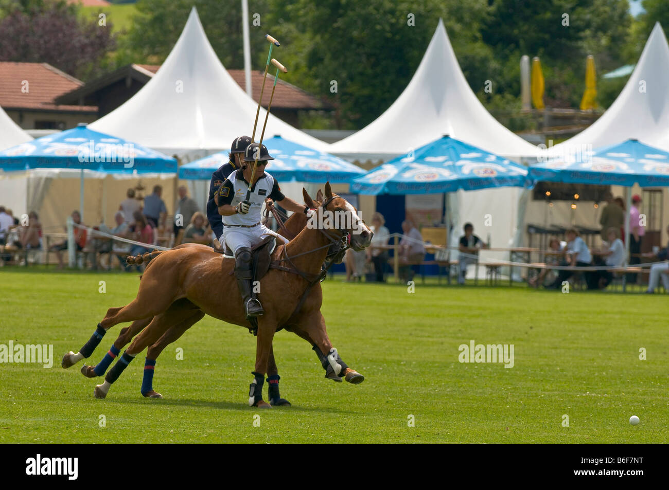 Two polo players jostling for the ball at the Berenberg High Goal Trophy 2008 polo tournament in Thann, Holzkirchen, Bavaria, G Stock Photo