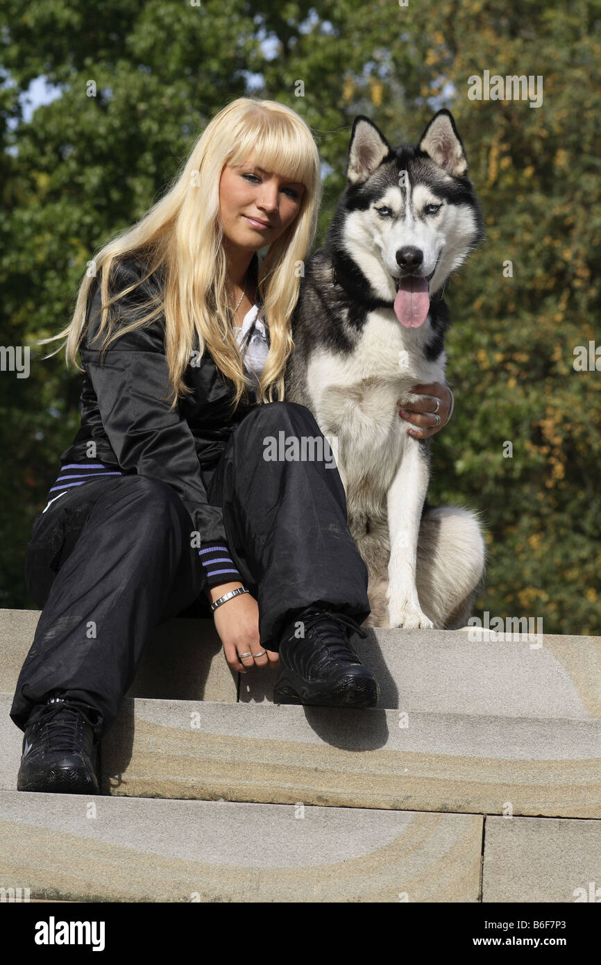 Siberian Husky Canis Lupus F Familiaris Young Fair Haired