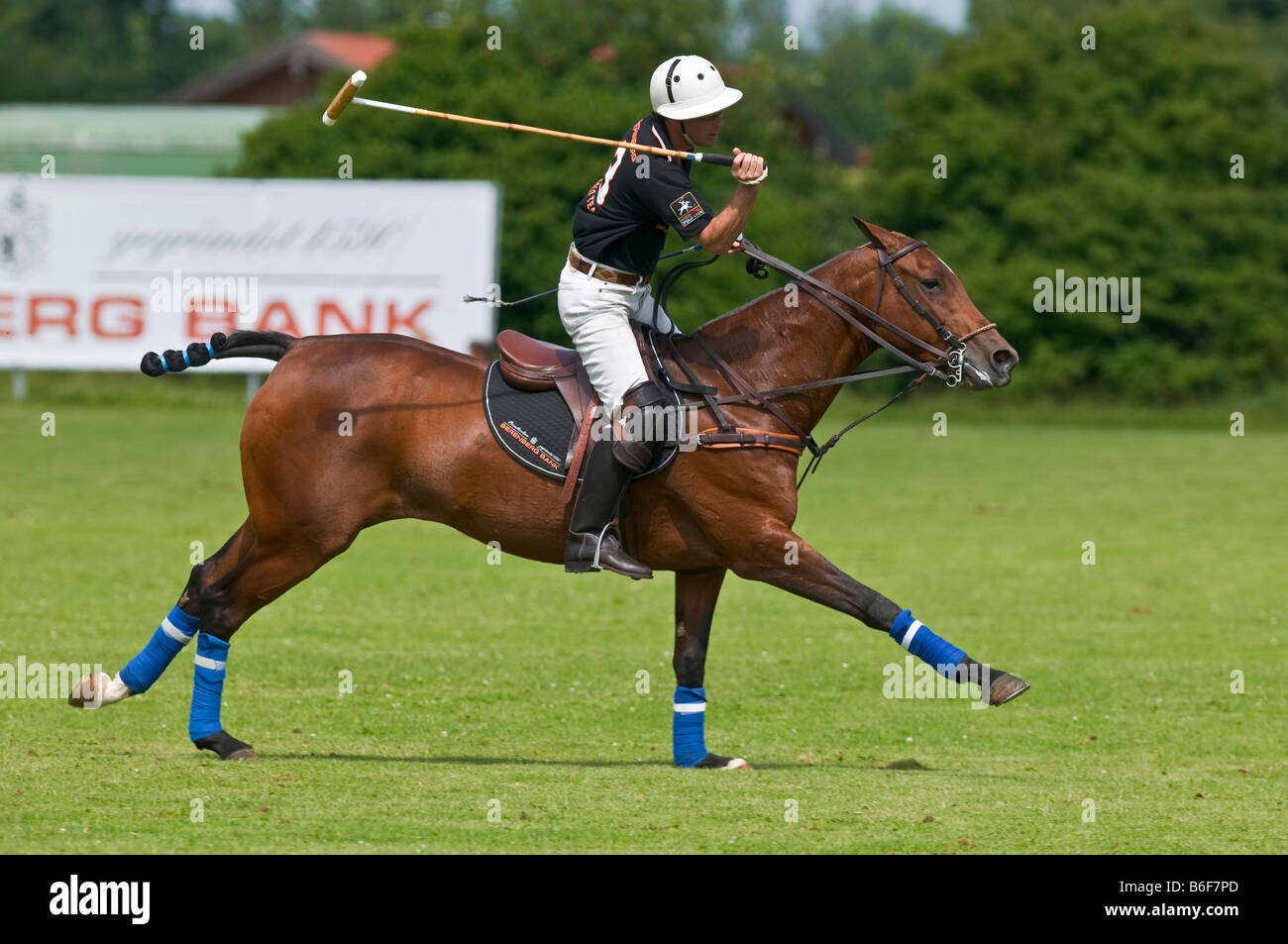 Polo, polo player chasing after a ball, polo competition, Berenberg High Goal Trophy 2008, Thann, Holzkirchen, Upper Bavaria, B Stock Photo