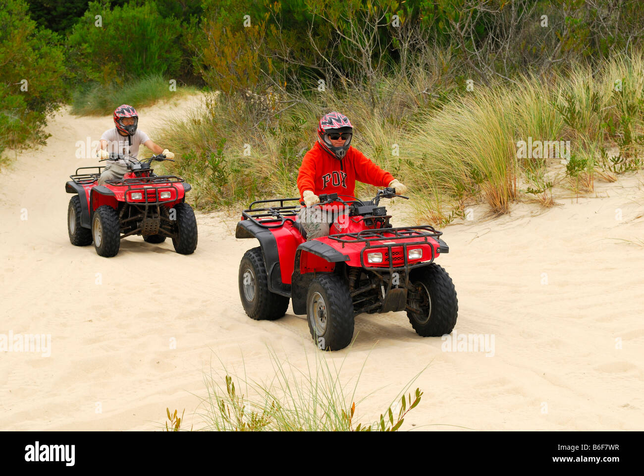 Quadbike riders in the Henty dunes near Strahan, Tasmania, Australia Stock Photo