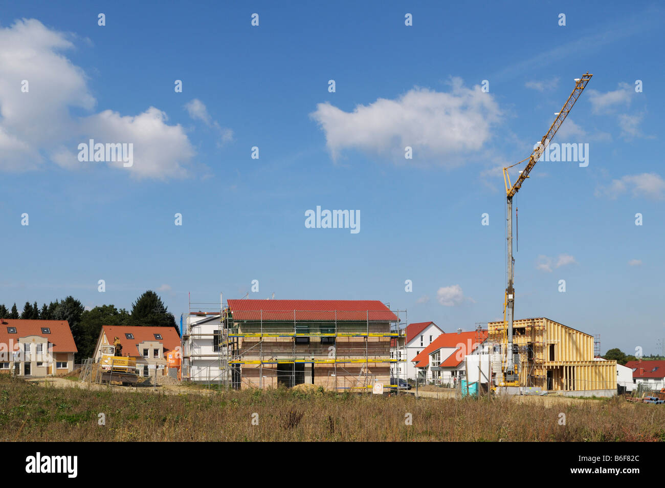Different stages of development hi-res stock photography and images - Alamy
