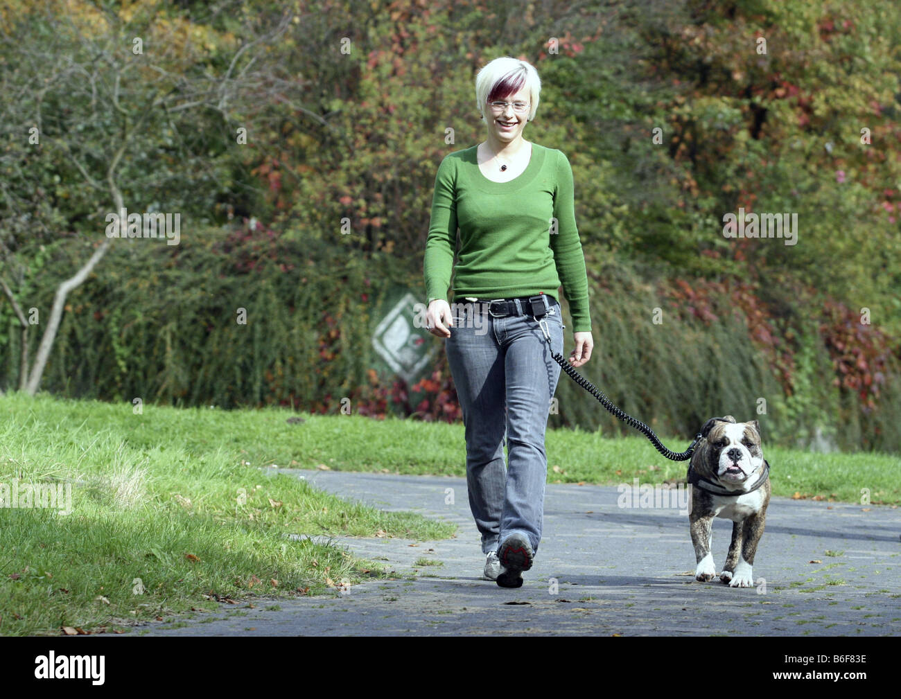 English bulldog (Canis lupus f. familiaris), young woman walking with dog on the leash in a park, Germany Stock Photo