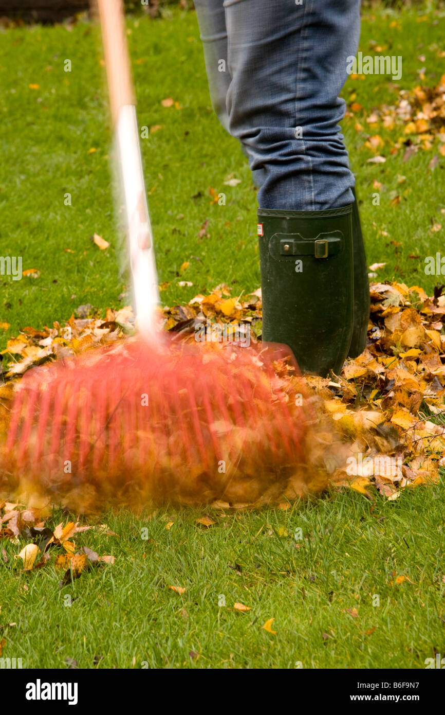 Sweeping Autumn Leaves High Resolution Stock Photography and Images Alamy