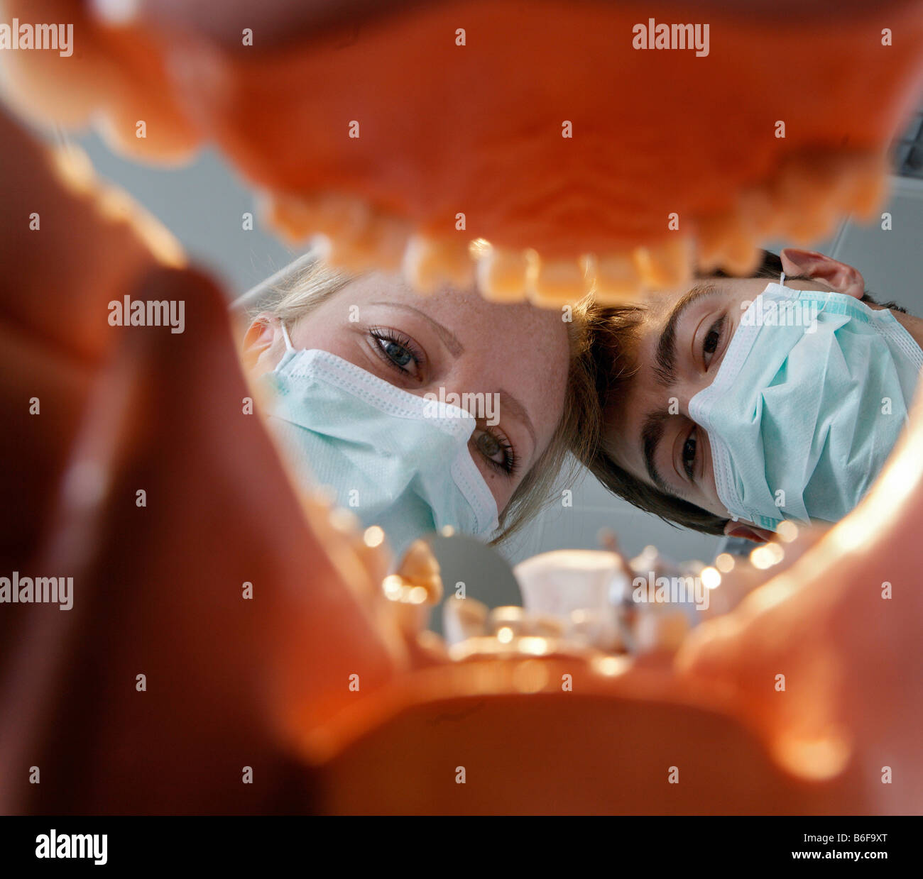 View from within a set of dentures onto two future dentists during their dental training at the Zahnklinik der Eberhard-Karls-U Stock Photo