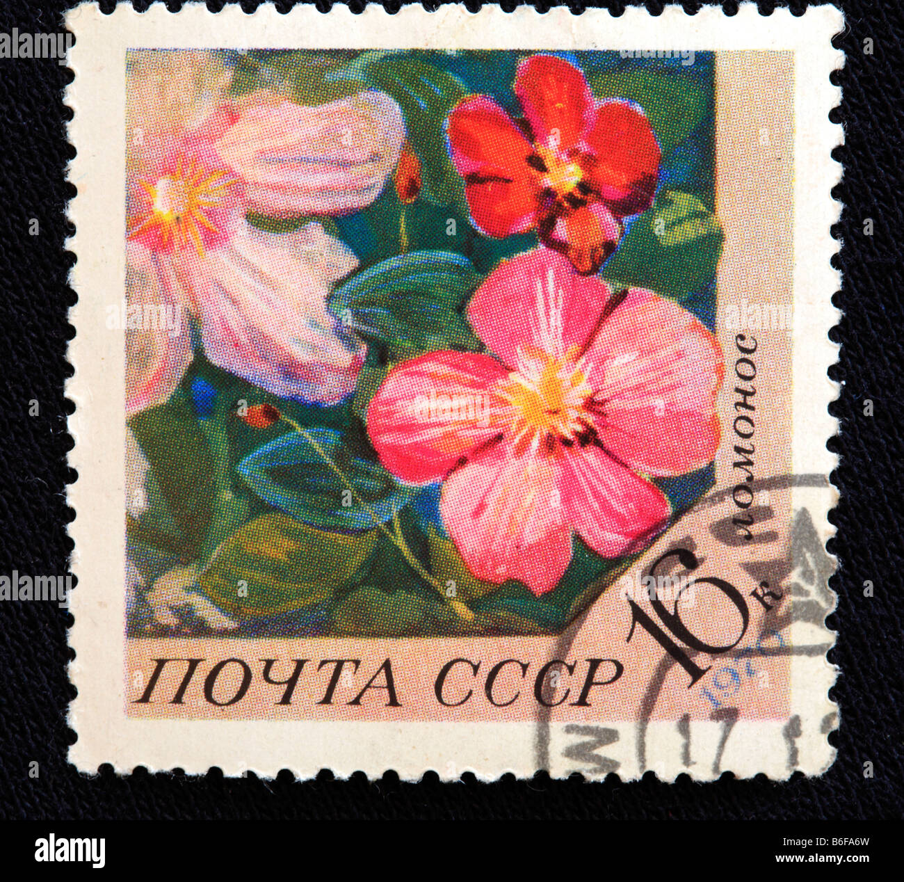 Clematis (Clematis hybrida), postage stamp, USSR, 1970 Stock Photo