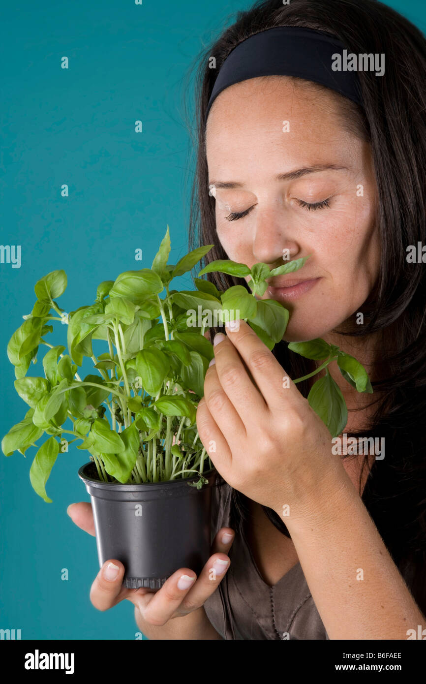 Girl smelling basil Stock Photo