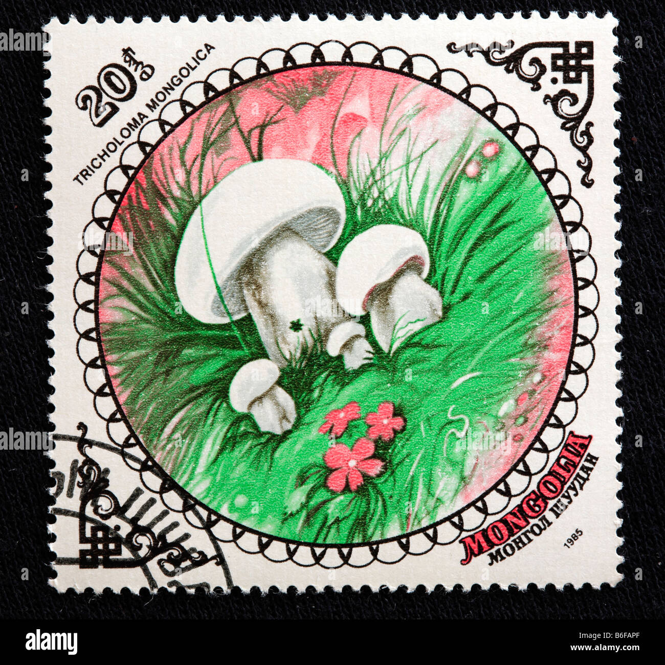 Tricholoma mongolica, postage stamp, Mongolia, 1985 Stock Photo