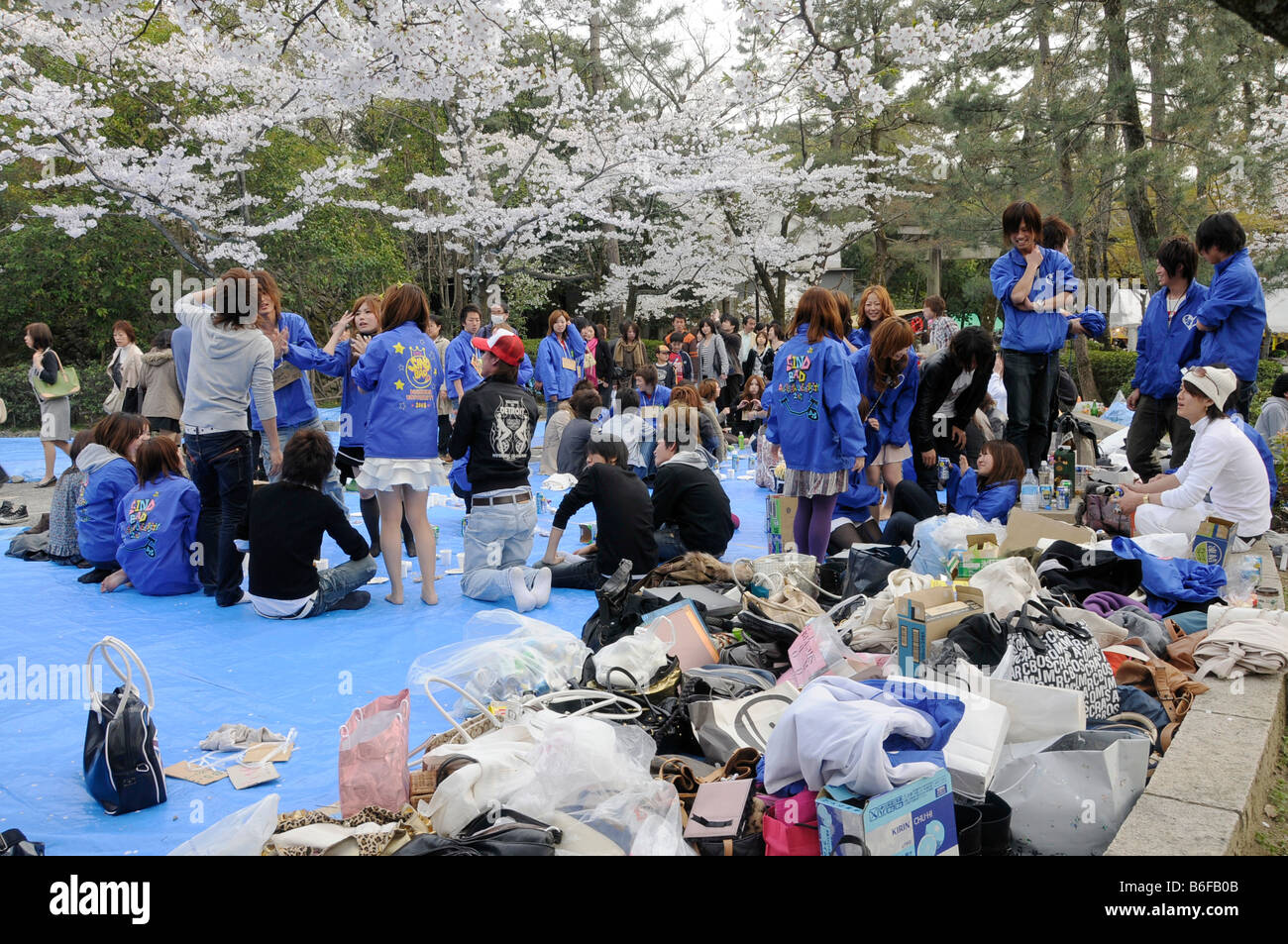 Group of students celebrating the Cherry Blossom Festival by playing ...