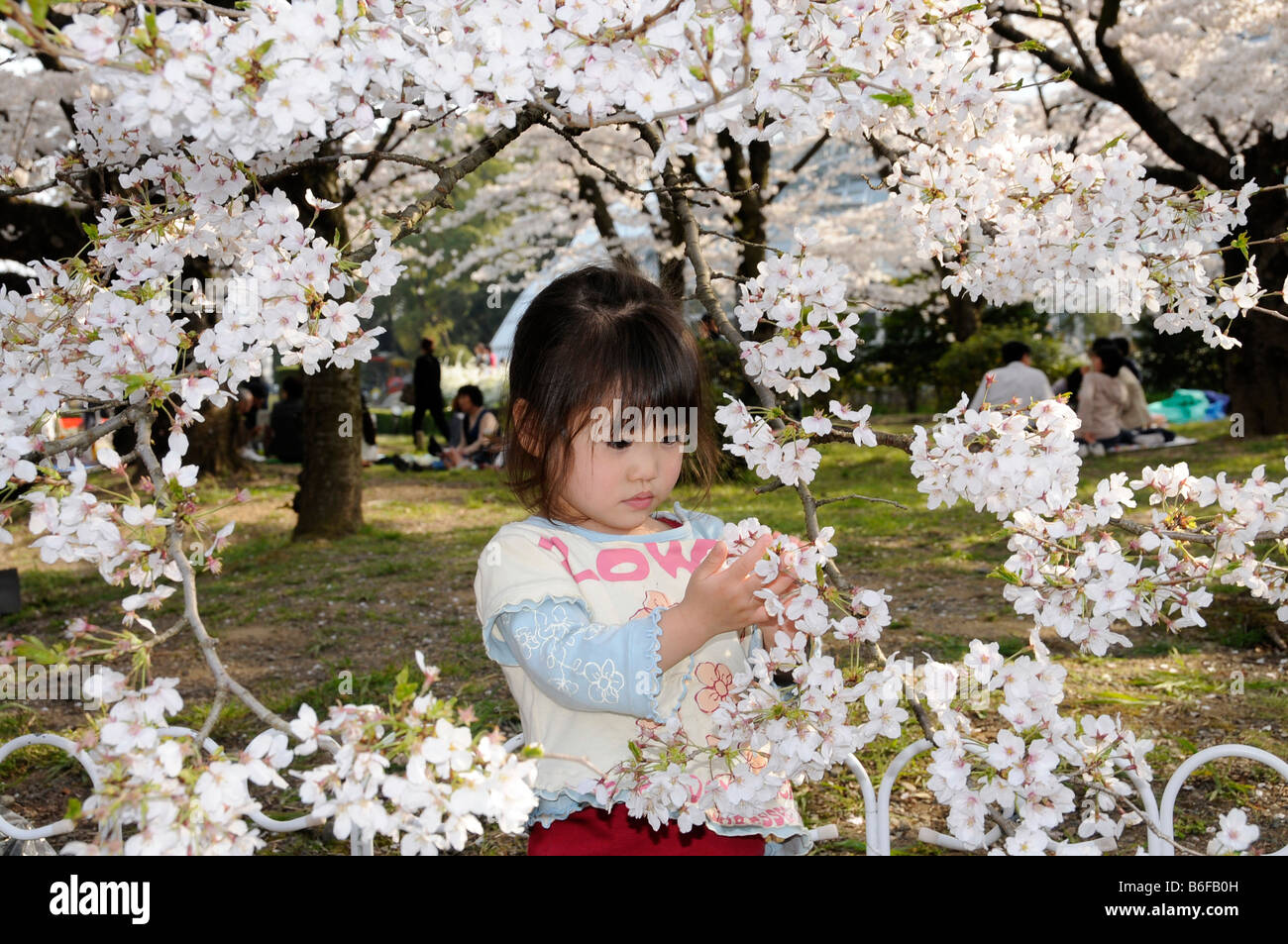 Hanami japan children hi-res stock photography and images - Alamy