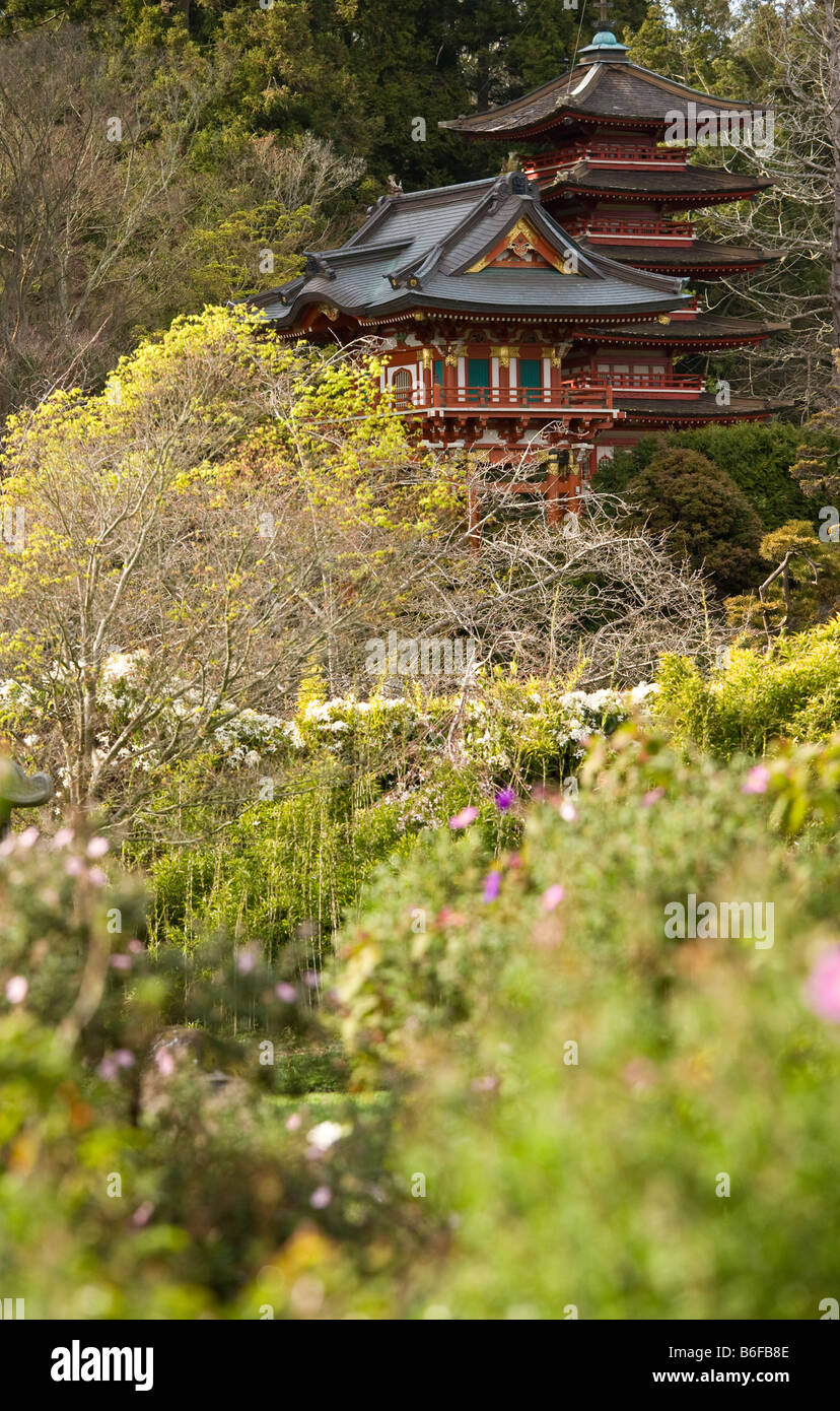 Japanese Tea Garden Golden Gate Park Stock Photo Alamy