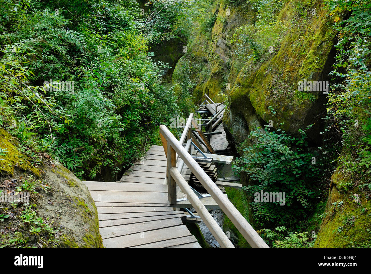 Wooden staircase, Marienschlucht, Mariaschlucht, ravine, between Bodman-Ludwigshafen and Wallhausen, Bodanrueck Peninsula, coun Stock Photo