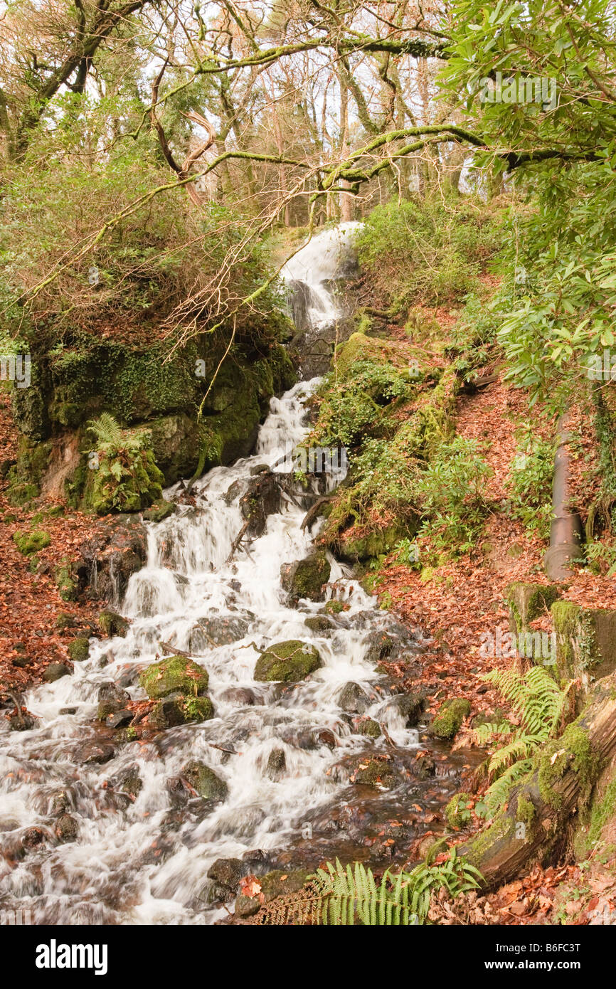 Devenport Leat waterfall at Burrator Reservoir, Dartmoor. Stock Photo