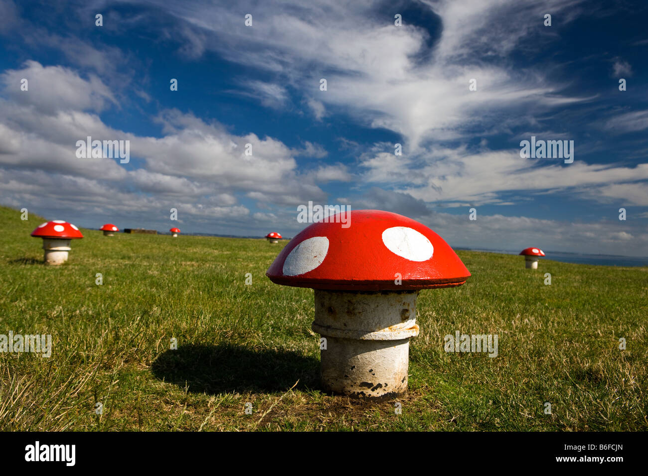 Water pumping system, painted to look like a mushroom field, on top of Mount Victoria, Devonport district, Auckland, New Zealand Stock Photo