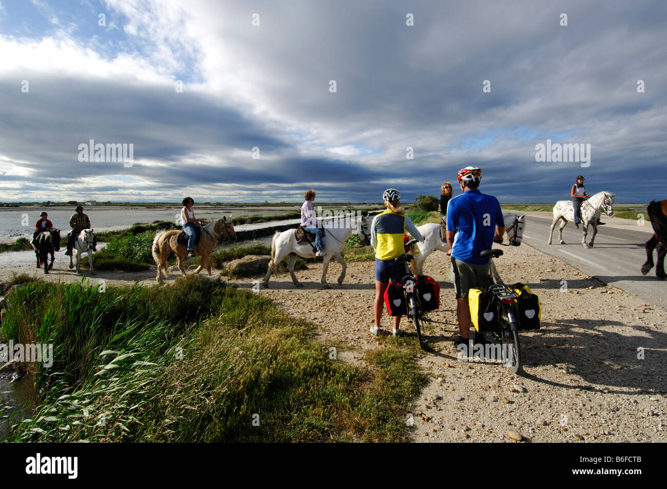 Cyclists and horse riders near Saintes Maries de la Mer, La Camargue, Provence, France, Europe Stock Photo