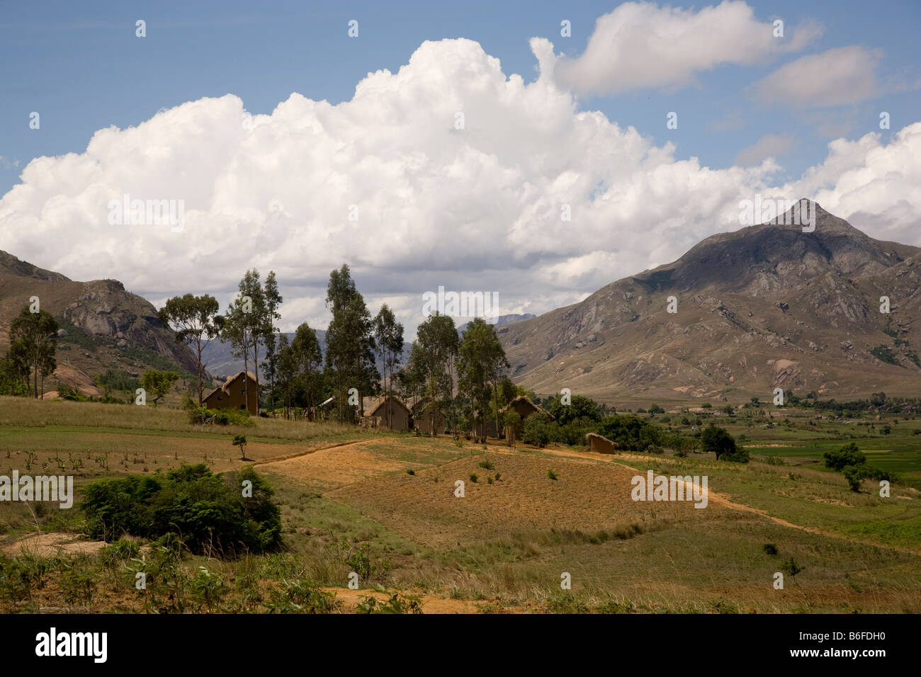 Habitat destruction hires stock photography and images Alamy
