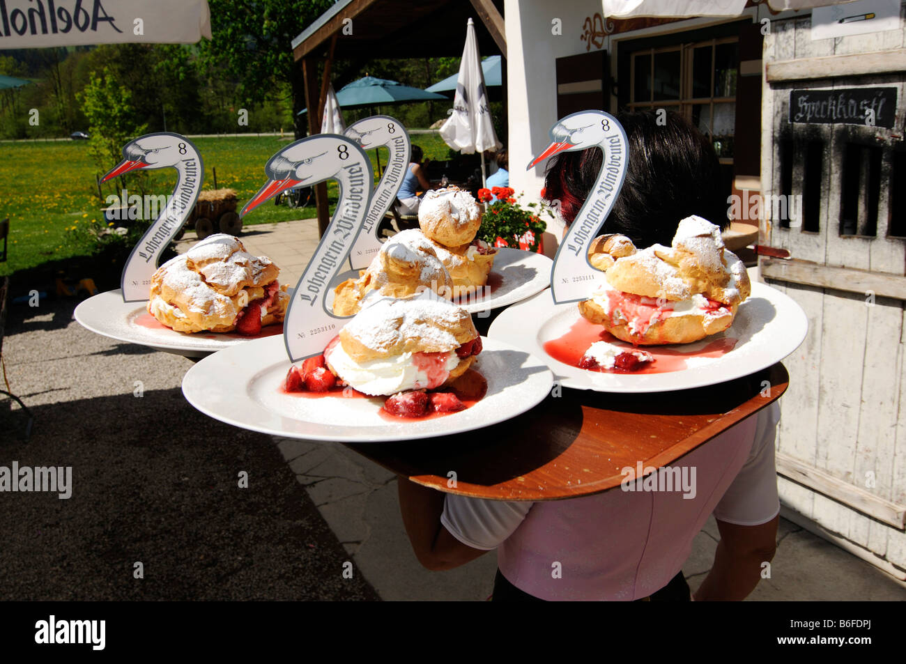 Cream puffs served at Windbeutelgraefin Cafe, Ruhpolding, Chiemgau, Bavaria, Germany, Europe Stock Photo