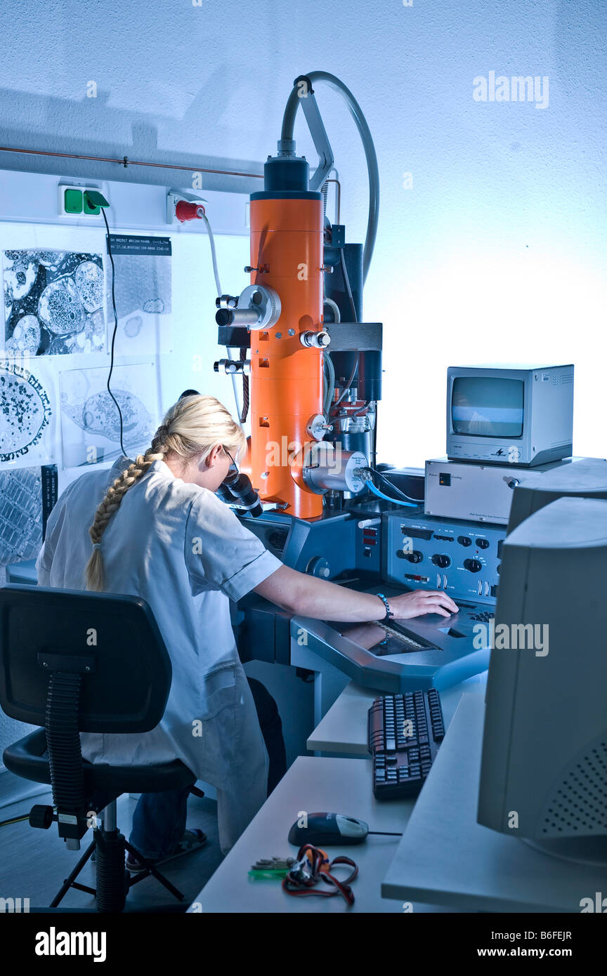 Laboratory technician working with an electron microscope, Max-Plank research 'Fermentation protein folding', Halle, Germany, E Stock Photo