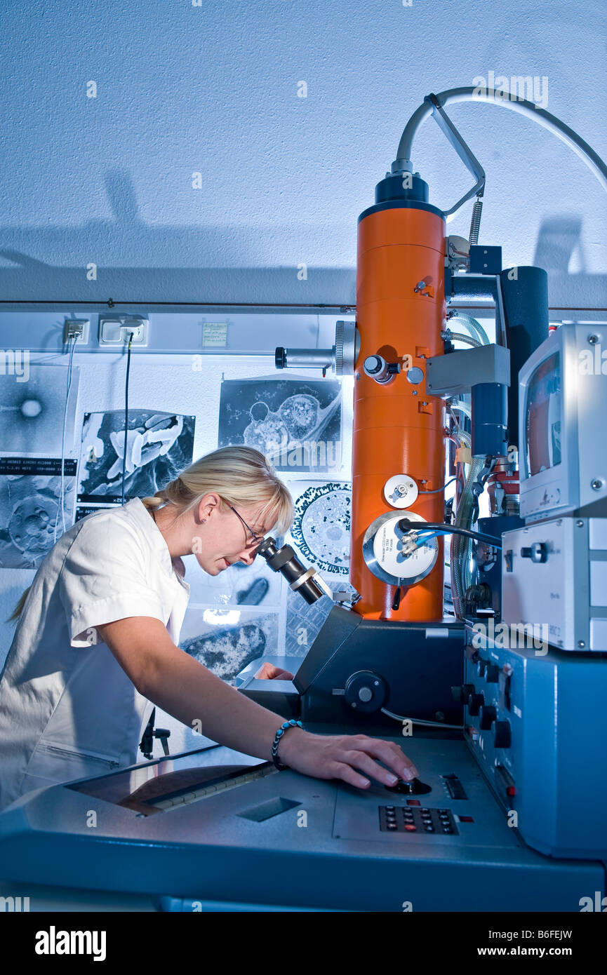 Laboratory technician working with an electron microscope, Max-Plank research 'Fermentation protein folding', Halle, Germany, E Stock Photo