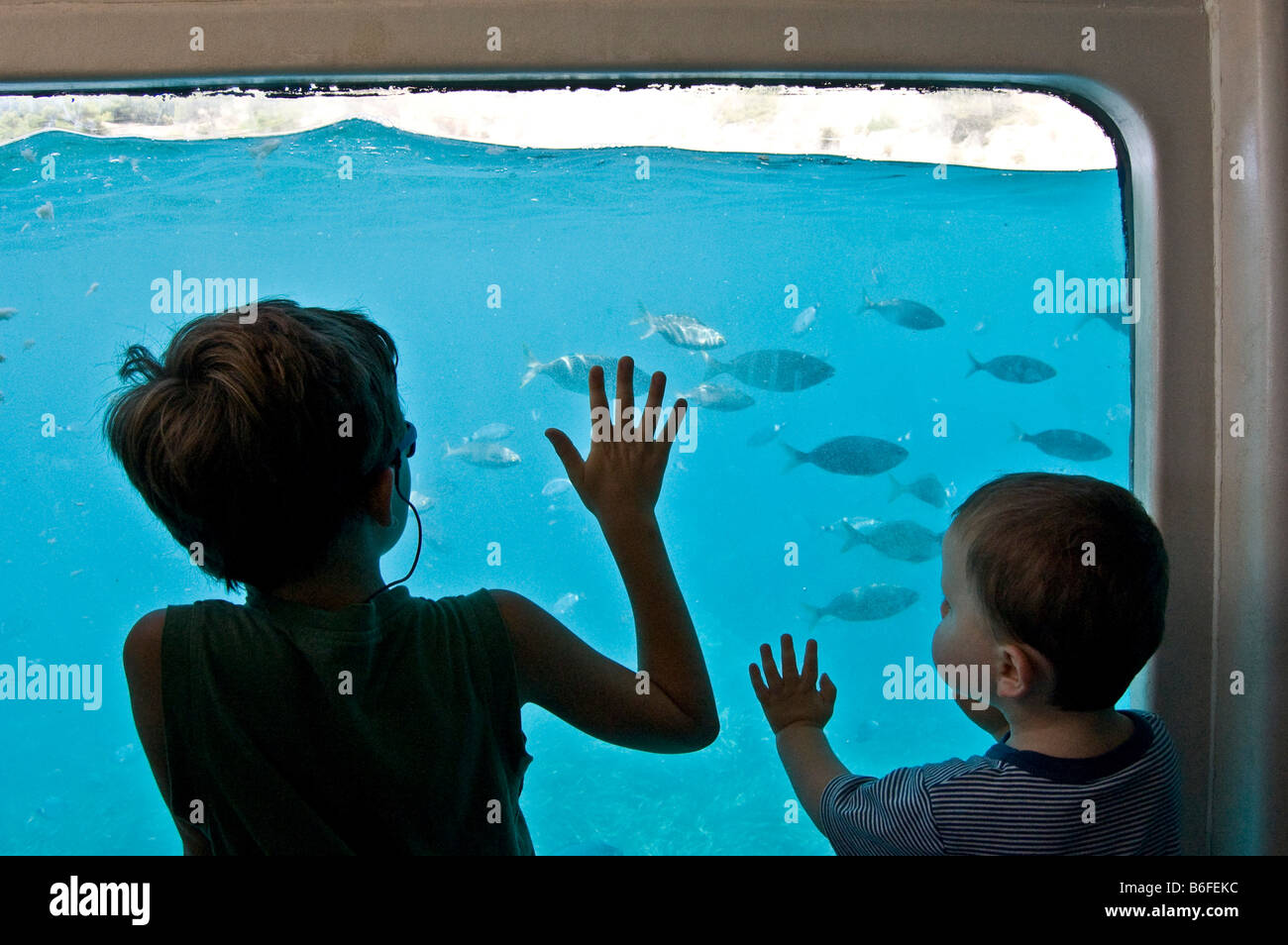 Children watching fish from a glass floored boat, Majorca, Balearic Islands, Spain, Europe Stock Photo