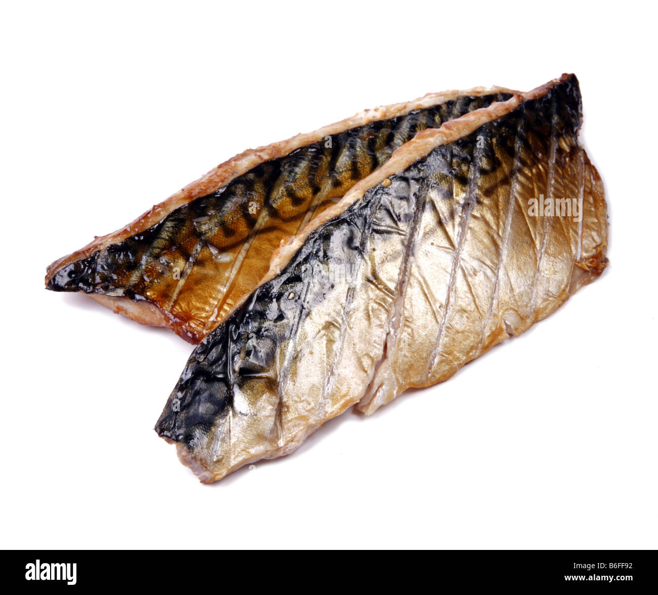 Home Smoked Mackerel Fillets Cut Out Stock Photo