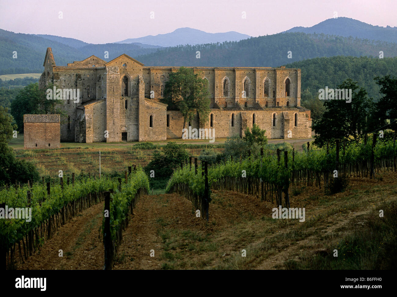 Ruins of the abbey basilica, Cistercian Abbey of San Galgano near Chiusdino, Province of Siena, Tuscany, Italy, Europe Stock Photo
