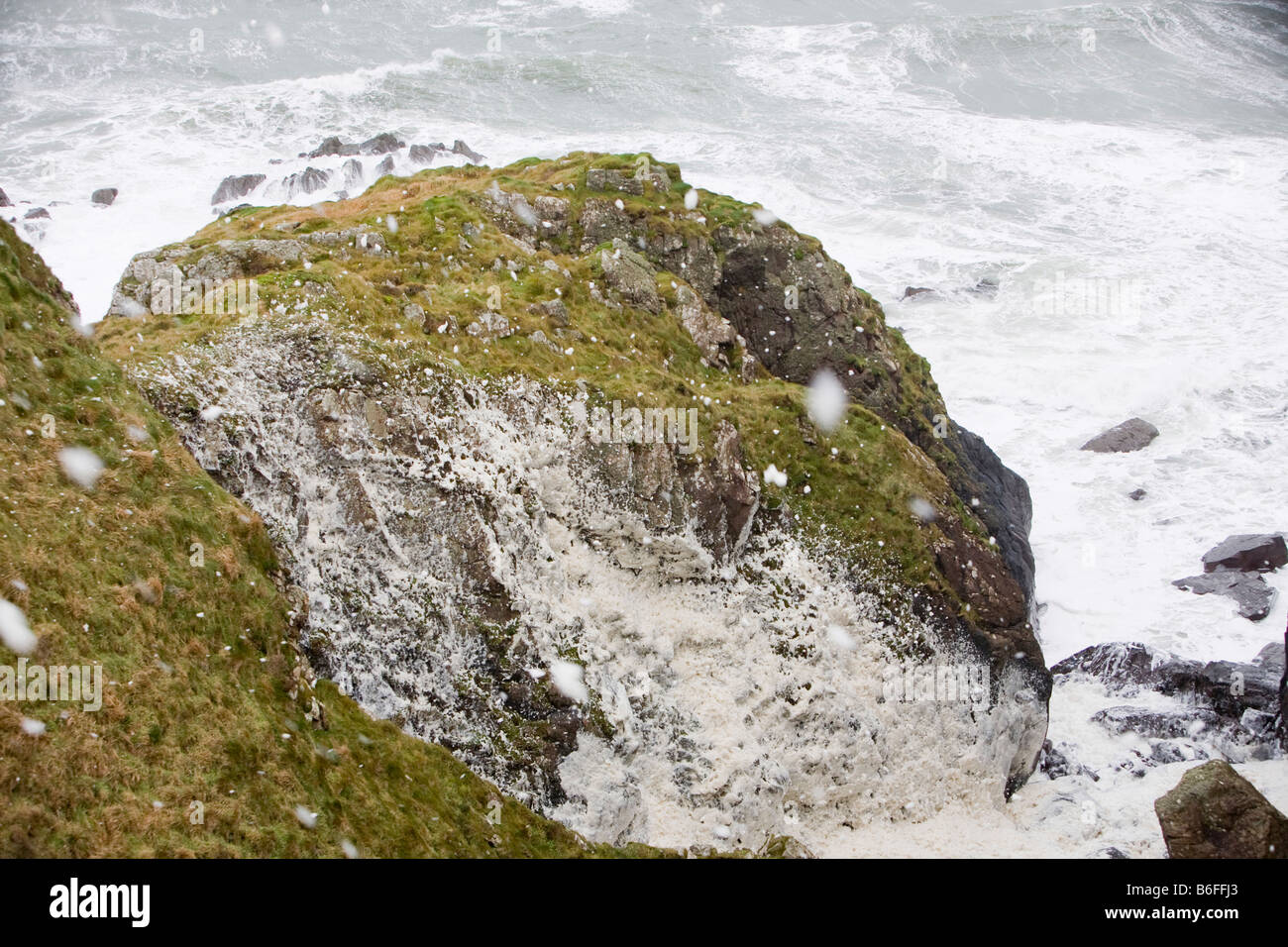 Spume blown inland from a stormy sea on The Rhins of Galloway Scotland UK Stock Photo
