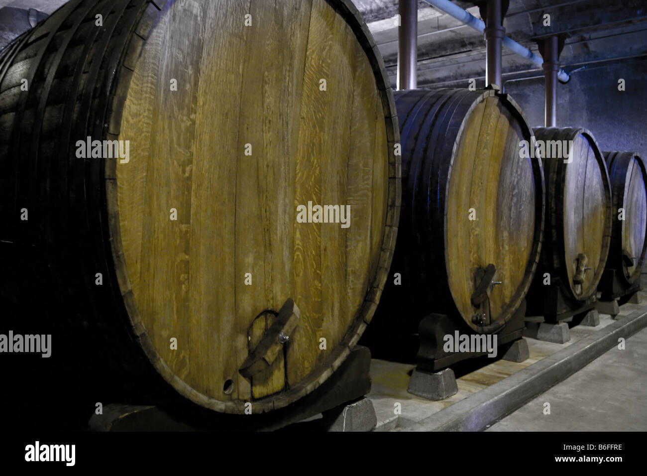 Giant wine barrels at the Culinary Institute of America Stock Photo Alamy