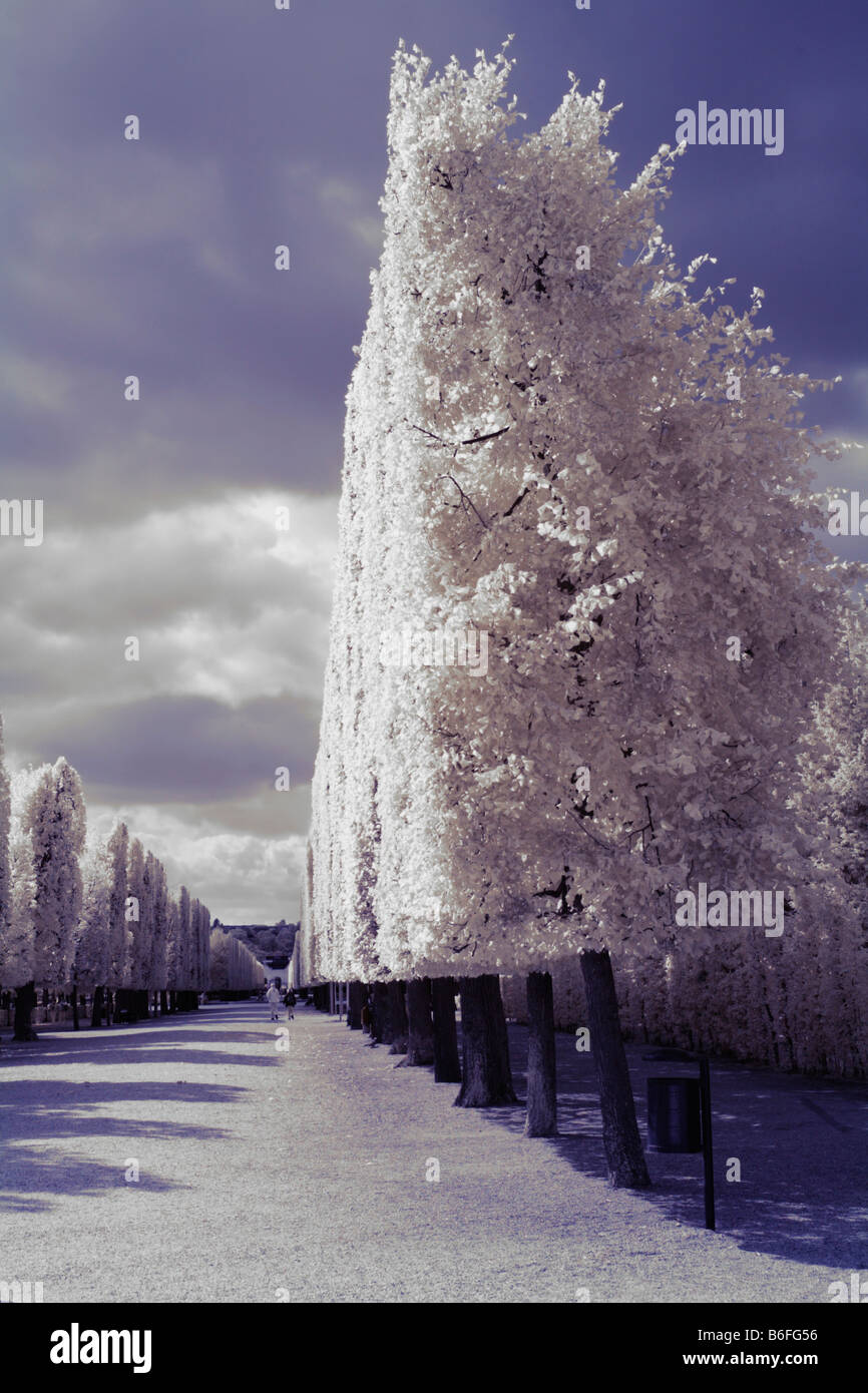 Schloss Schoenbrunn Palace, infrared color photo, Vienna, Austria, Europe Stock Photo